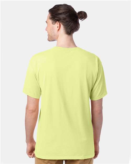 Hanes GDH100 Men's Garment-Dyed T-Shirt - Chic Lime - model back