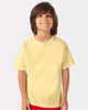 Summer Squash Yellow