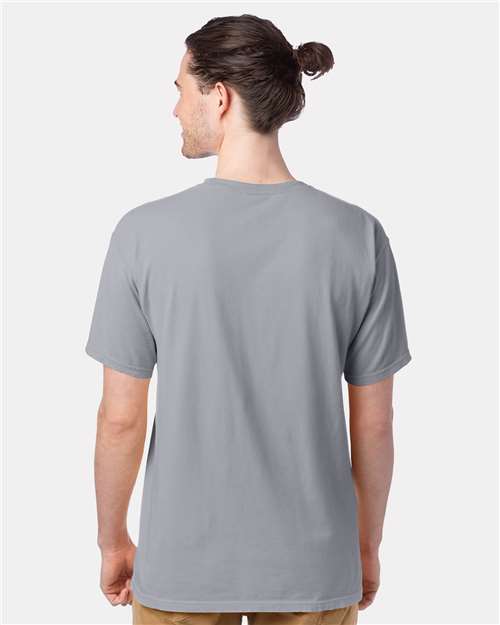 Hanes GDH100 Men's Garment-Dyed T-Shirt - Silverstone - model back
