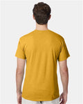 Hanes 42TB Perfect-T Triblend T-Shirt - Gold Heather - model back