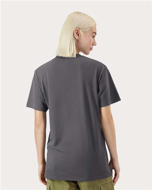 American Apparel 5389 Unisex Sueded Cloud Jersey Tee - Sueded Asphalt - model back