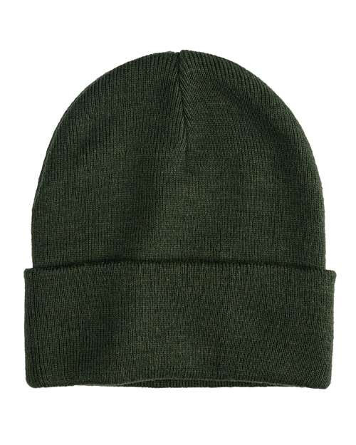 econscious EC7045 Base Camp Beanie - Alpine - front