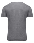 Threadfast Apparel 102A Triblend T-Shirt - Grey Triblend - back