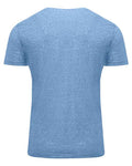 Threadfast Apparel 102A Triblend T-Shirt - Royal Triblend - back