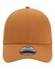 Buckthorn Brown