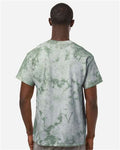Colortone 1390 Unisex Crystal Wash T-Shirt - Crystal Forest - model back
