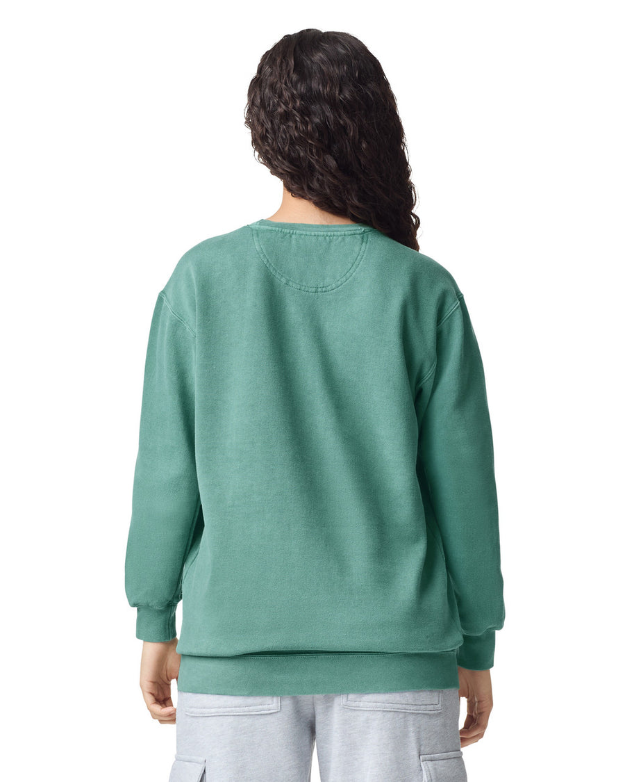 Comfort Colors 1566 Crewneck - Light Green - model front