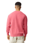 Comfort Colors 1566 Crewneck - Watermelon - model back