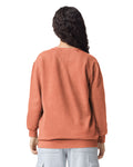 Comfort Colors 1566 Crewneck - Terracotta - model back