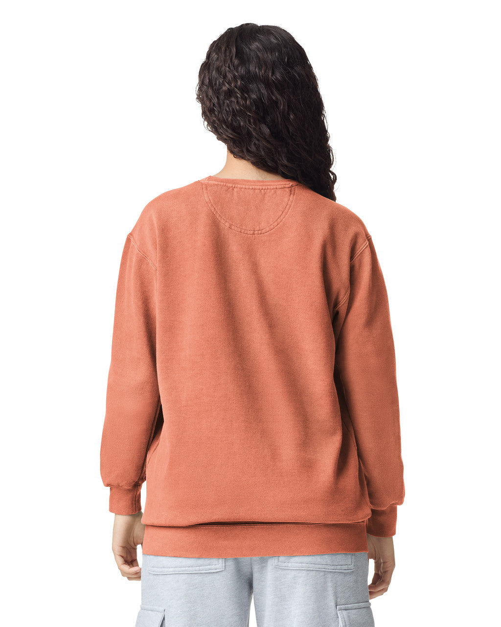 Comfort Colors 1566 Crewneck - Terracotta - model back