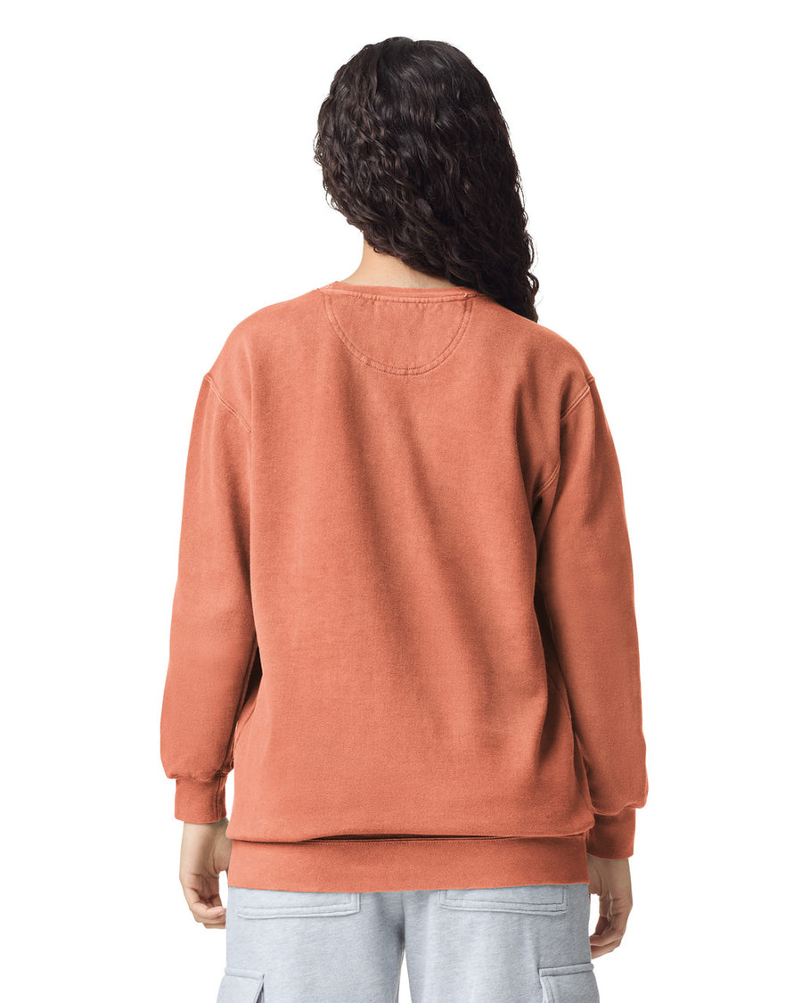 Comfort Colors 1566 Crewneck - Terracotta - model back