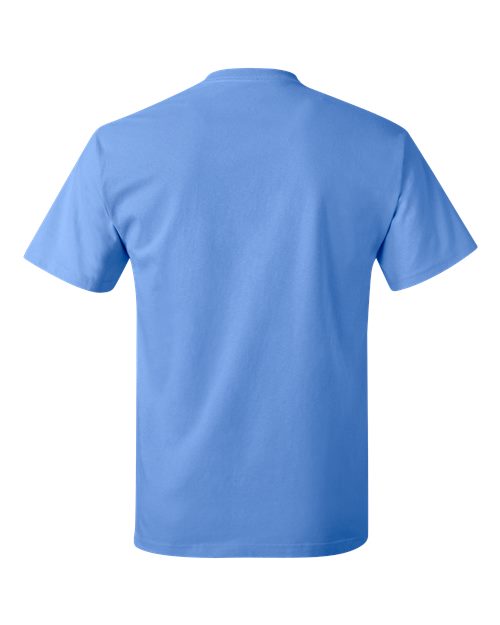 Hanes 5250 Authentic T-Shirt - Carolina Blue - back