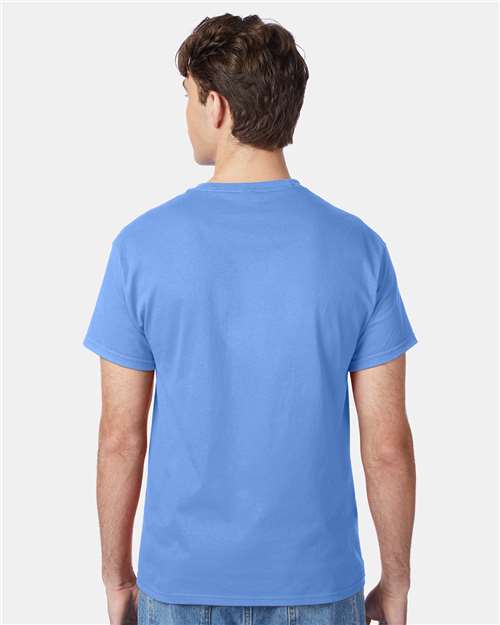 Hanes 5250 Authentic T-Shirt - Carolina Blue - model back