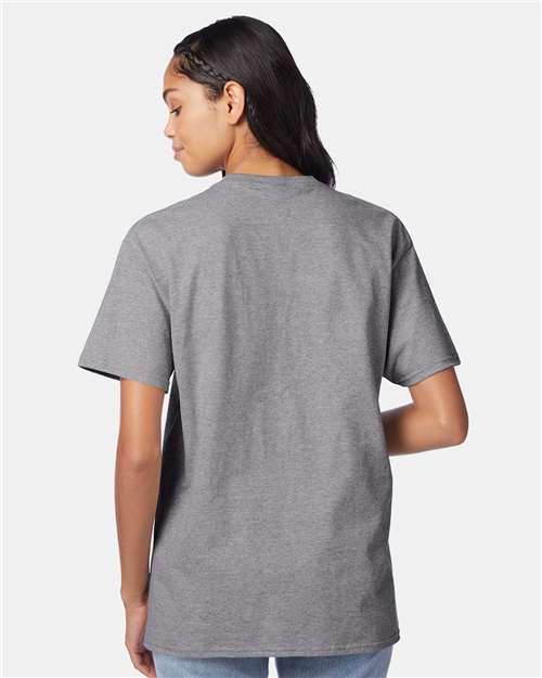 Hanes 5250 Authentic T-Shirt - Oxford Grey - model back