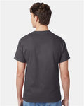 Hanes 5250 Authentic T-Shirt - Smoke Grey - model back