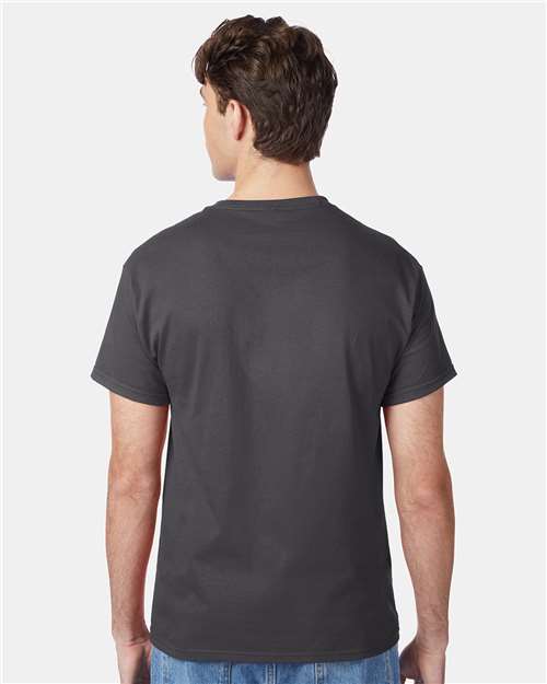 Hanes 5250 Authentic T-Shirt - Smoke Grey - model back