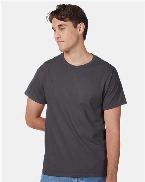 Hanes 5250 Authentic T-Shirt - Smoke Grey - model front