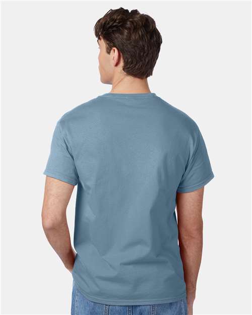 Hanes 5250 Authentic T-Shirt - Stonewashed Blue - model back
