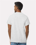 Gildan 2000 Ultra Cotton T-Shirt - Ash - model back