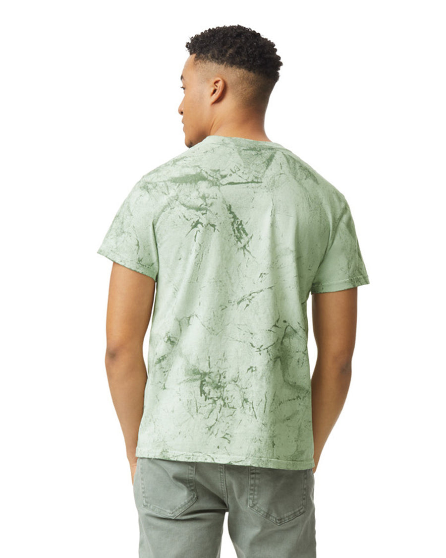 Comfort Colors 1745 Unisex Colorblast Heavyweight T-Shirt - Fern - model back