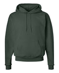 Hanes P170 EcoSmart Hooded Sweatshirt - Deep Forest - flat front