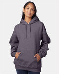 Hanes F170 Ultimate Cotton Hooded Sweatshirt - Charcoal Heather - model front