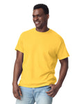 Gildan G200 Ultra Cotton T-Shirt - Daisy - model front