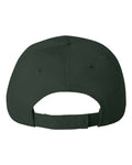 Valucap 6440 Econ Cap - Forest - back