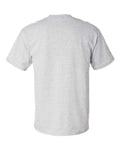 Hanes 5280 Essential-T T-Shirt - Ash - back