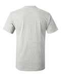 Hanes 5250 Authentic T-Shirt - Ash - back