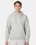 Hanes F170 Ultimate Cotton Hooded Sweatshirt - Ash - model front
