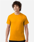 Champion T425 Unisex Classic T-Shirt - Gold - model front