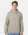 Hanes P170 EcoSmart Hooded Sweatshirt - Sand - model front