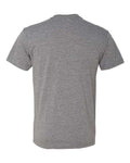 Next Level 6010 Triblend T-Shirt - Premium Heather - back