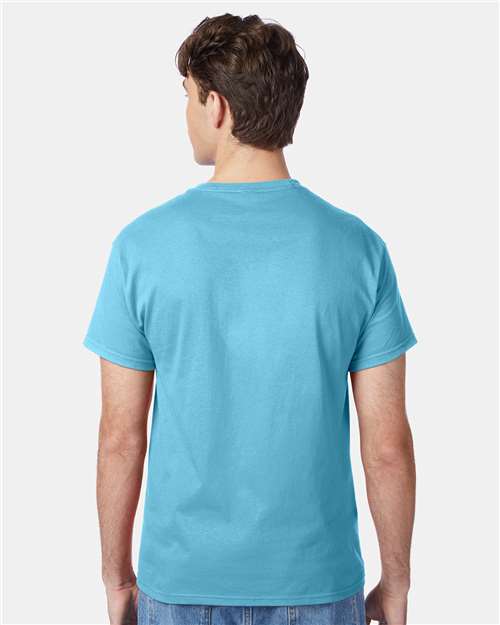 Hanes 5250 Authentic T-Shirt - Blue Horizon - model back