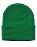 Sportsman SP12 12" Solid Cuffed Beanie - Kelly - back