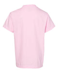 Comfort Colors 9018 Youth Garment-Dyed Heavyweight T-Shirt - Blossom - back