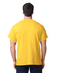 Gildan G500 Heavy Cotton T-Shirt - Daisy - model back