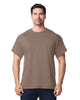 Brown Savana