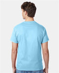 Hanes 5250 Authentic T-Shirt - Aquatic Blue - model back