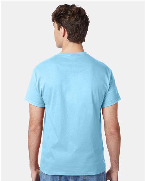 Hanes 5250 Authentic T-Shirt - Aquatic Blue - model back
