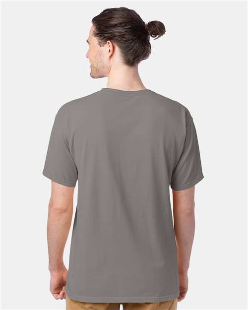 Hanes GDH100 Men's Garment-Dyed T-Shirt - Concrete Grey - model back