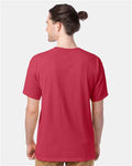 Hanes GDH100 Men's Garment-Dyed T-Shirt - Crimson Fall - model back