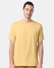 Summer Squash Yellow