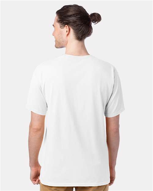 Hanes GDH100 Men's Garment-Dyed T-Shirt - White - model back