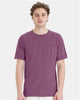Purple Plum Raisin