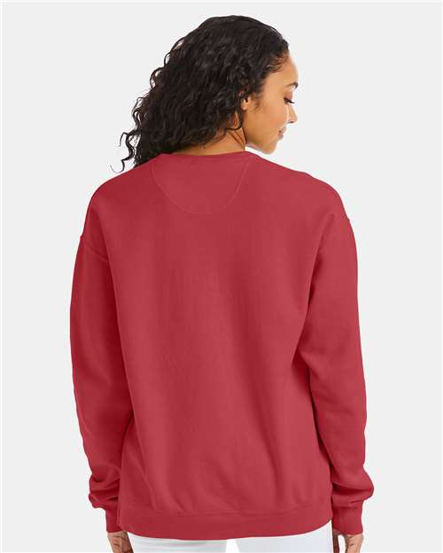 Hanes GDH400 Unisex Garment-Dyed Crewneck Sweatshirt - Crimson Fall - model back