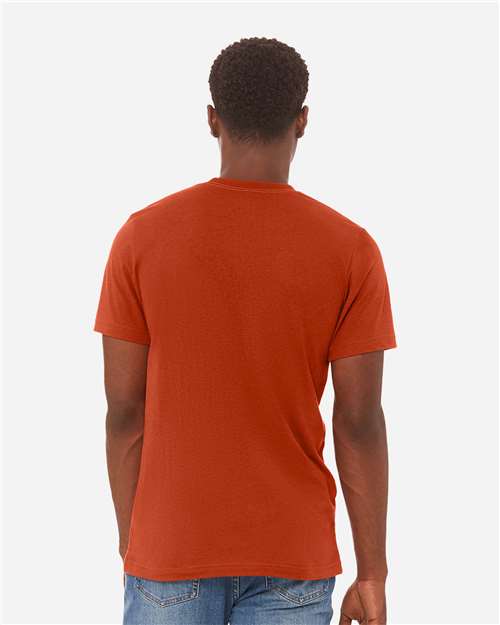 Bella+Canvas 3413 Unisex Triblend Short Sleeve Tee - Brick Triblend - model back