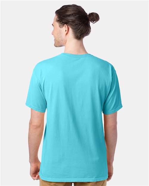 Hanes GDH100 Men's Garment-Dyed T-Shirt - Freshwater - model back