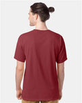 Hanes GDH100 Men's Garment-Dyed T-Shirt - Cayenne - model back